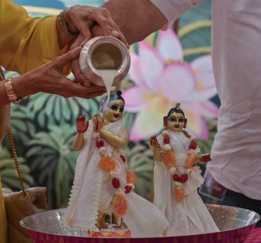 MUMBAI, INDIA - AUGUST 25: On eve of Janmashtami , devotees participated in the pre-Janmashtami celebrations by performing the sacred Divya Snan for Lord Krishna and Radha, bathing them with milk and Charanamrit,  at Radha Gopinath Temple in ISKCON  clipart