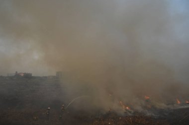 NEW DELHI INDIA 19 Mayıs 2023 Perşembe akşamı Sektör 30 'daki boş bir arsada çıkan yangın, yakındaki bölge sakinlerini 19 Mayıs' ta gözlerinde yanma hissi uyandırarak Cuma sabahına kadar yanmaya devam etti.