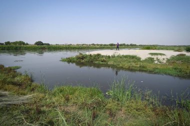 NEW DELHI INDIA MAYIS 7 2023 Vinai Kumar Saxena vali yardımcısı olarak Çin adasının görüntüsü Yamuna Çarşısı yakınlarındaki Yamuna Nehri yetkilileri tarafından yenilenen Mini Adaları denetliyor 7 Mayıs 2023 tarihinde Yeni Delhi Hindistan Fotoğrafı