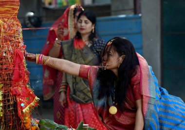 NOIDA INDIA MAYIS 19 Mayıs 2023 Vat Savitri Puja vesilesiyle bir ağacın altında dua eder 19 Mayıs 2023 tarihinde Noida Hindistan 'da bir Shiv mandir fotoğraf Sunil Ghosh Hindustan Times 