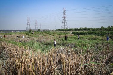 NEW DELHI INDIA 7 Mayıs 2023 Vinai Kumar Saxena Valisi olarak Cherry Adası manzarası Yamuna Çarşısı yakınlarındaki Yamuna Nehri yetkilileri tarafından yenilenen Mini Adaları denetliyor.