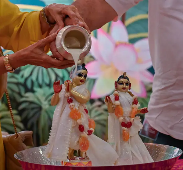 stock image MUMBAI, INDIA - AUGUST 25: On eve of Janmashtami , devotees participated in the pre-Janmashtami celebrations by performing the sacred Divya Snan for Lord Krishna and Radha, bathing them with milk and Charanamrit,  at Radha Gopinath Temple in ISKCON 