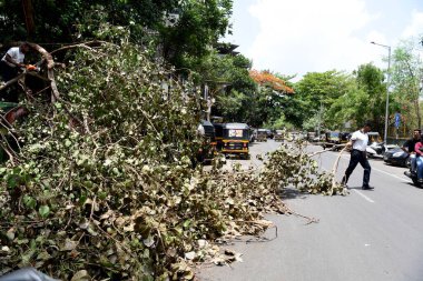 NAVI MUMBAI INDIA 12 Haziran 2023 İtfaiye yetkilileri 12 Haziran 2023 'te Navi Mumbai Hindistan Fotoğrafı: Bachchan Kumar Hindustan Times 