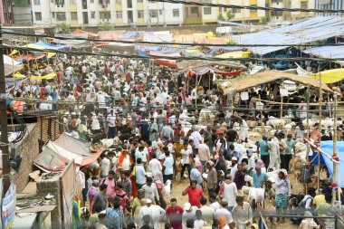 PATNA INDIA 27 Haziran 2023 İnsanlar, 27 Haziran 2023 tarihinde Bakrid festivali Bihar Hindistan öncesinde Patna 'daki Keçi Market Bailey yolunda keçi satın almak için toplandı. Fotoğraf: Santosh Kumar Hindustan Times 