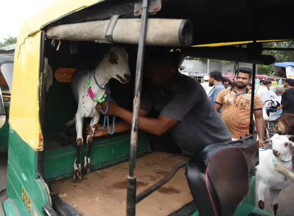 stock image NEW DELHI INDIA JUNE 28 2023 Muslim people after purchasing goat at Jama Masjid market on the eve of Eid al Adha festival on June 28 2023 in New Delhi India A day before the festival of Eid ul Azha the Muslim community is gearing up for the day of ob