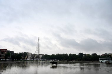 NOIDA INDIA 29 Haziran 2023 'ten sonra 29 Haziran 2023' te Noida Hindistan 'da 19 Haziran 2023' te şiddetli yağmur yağdı. Fotoğraf: Sunil Ghosh Hindustan Times 