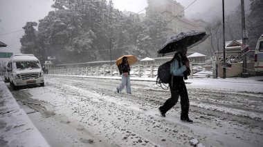 SHIMLA INDIA FEBRUARY 12024 Auckland Tüneli yakınlarındaki taze kar yağışı sırasında Deepak Sansta Hindustan Times 'ın Shimla Hindistan Fotoğrafı' nda şemsiyeyle yürüyen insanlar