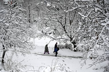 SRINAGAR INDIA FEBRUARY 1 2024 People walk after a seasons first snowfall in the outskirts of Srinagar India It is the seasons first snowfall in the plains of the Kashmir valley clipart