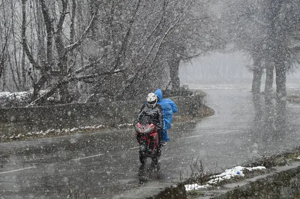 stock image SRINAGAR INDIA FEBRUARY 3 2024 Vehicles ply during a snowfall on February 3 2024 in Srinagar India The Kashmir valley witnessed a prolonged dry spell this winter with most of the ChillaiKalan the 40 day harsh winter period when the chances of snowfal