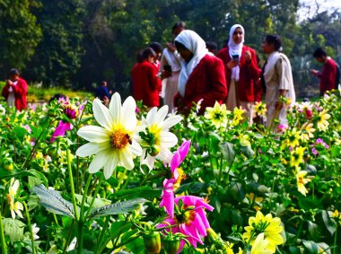 NEW DELHI INDIA FEBRUARY 14 2024 Visitors enjoy spring season as flowers in full bloom at Lodhi Garden on February 14 2024 in New Delhi India Organized by the New Delhi Municipal Corporation NDMC the 12day Tulip Festival in Delhi started on February  clipart