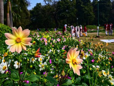 NEW DELHI INDIA FEBRUARY 14 2024 Visitors enjoy spring season as flowers in full bloom at Lodhi Garden on February 14 2024 in New Delhi India Organized by the New Delhi Municipal Corporation NDMC the 12day Tulip Festival in Delhi started on February  clipart