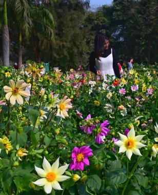 NEW DELHI INDIA FEBRUARY 14 2024 Visitors enjoy spring season as flowers in full bloom at Lodhi Garden on February 14 2024 in New Delhi India Organized by the New Delhi Municipal Corporation NDMC the 12day Tulip Festival in Delhi started on February  clipart