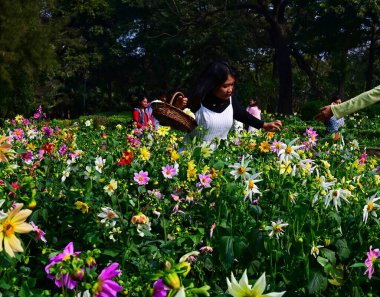 NEW DELHI INDIA ŞUBARI 14. 2024 Ziyaretçiler, 14 Şubat 2024 tarihinde Yeni Delhi Belediyesi NDMC tarafından düzenlenen Yeni Delhi Hindistan 'daki Lodhi Garden' da açan çiçeklerle bahar mevsiminin tadını çıkarıyor. 