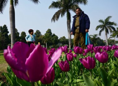 NEW DELHI INDIA 14 FEBRUARY 2024 İnsanlar 14 Şubat 2024 'te Shantipath' te Yeni Delhi Belediyesi NDMC tarafından düzenlenen Bahar Mevsimleri Lale Festivali 'ne tanıklık etmek için bir araya geldiler.