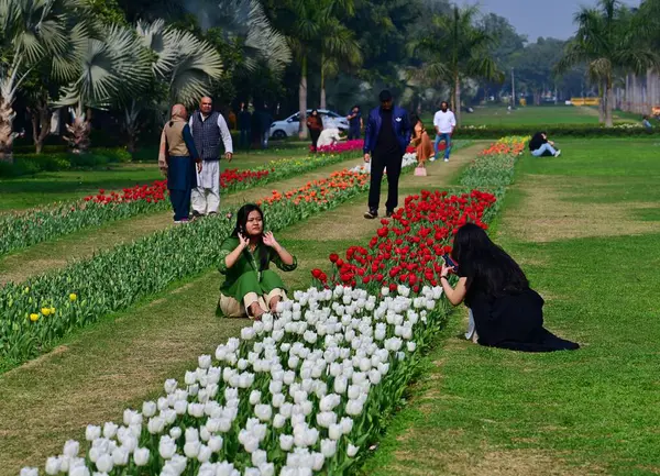 stock image NEW DELHI INDIA FEBRUARY 14 2024 People gather in large numbers to witness Spring Seasons Tulip Festival at Shantipath on February 14 2024 in New Delhi India Organized by the New Delhi Municipal Corporation NDMC the 12day Tulip Festival in Delhi star