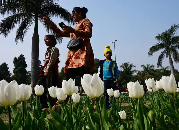 stock image NEW DELHI INDIA FEBRUARY 14 2024 People gather in large numbers to witness Spring Seasons Tulip Festival at Shantipath on February 14 2024 in New Delhi India Organized by the New Delhi Municipal Corporation NDMC the 12day Tulip Festival in Delhi star