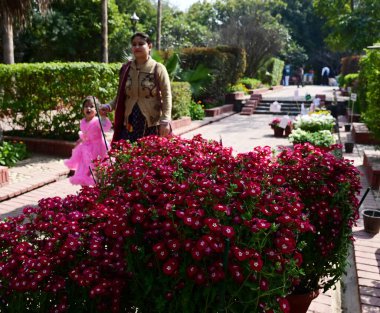 NEW DELHI INDIA ŞEHRİ 18 Şubat 2024 Ziyaretçiler, Delhi Turizm tarafından düzenlenen 36. Bahçe Turizm Festivali sırasında çiçeklerle selfie ve fotoğraf çekiyorlar. Delhi Hükümeti işbirliğiyle, 18 Şubat 2024 tarihinde New Delh 'te Garden of Five Senses' da gerçekleştirildi.