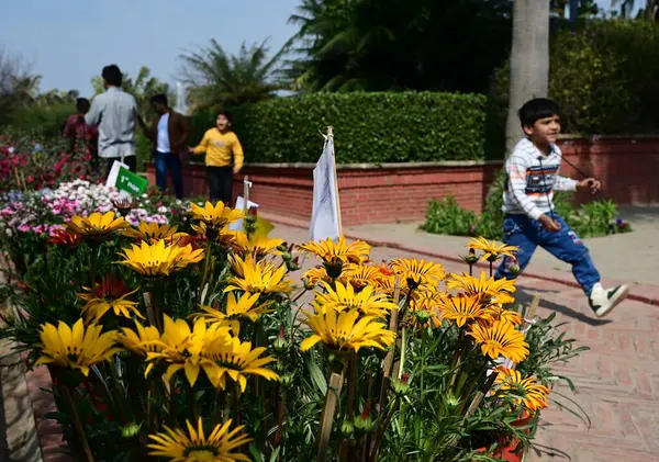 stock image NEW DELHI INDIA FEBRUARY 18 2024 Visitors take selfies and photos with flowers during the 36th Garden Tourism Festival organized by Delhi Tourism in collaboration with the Delhi Government held at Garden of Five Senses on February 18 2024 in New Delh