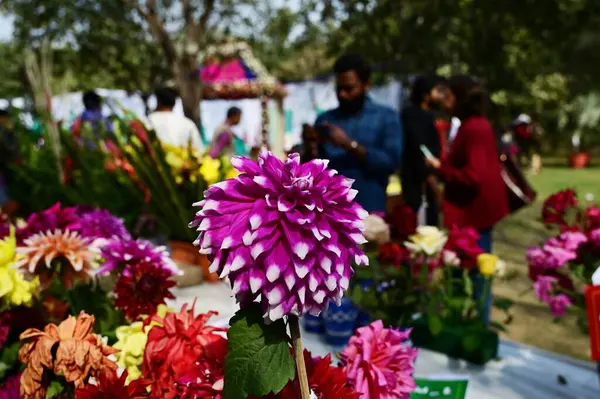 stock image NEW DELHI INDIA FEBRUARY 18 2024 Visitors take selfies and photos with flowers during the 36th Garden Tourism Festival organized by Delhi Tourism in collaboration with the Delhi Government held at Garden of Five Senses on February 18 2024 in New Delh