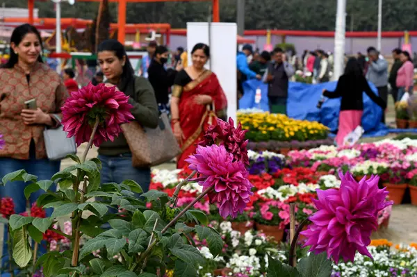 stock image NOIDA INDIA FEBRUARY 24 2024 People visit at the 2nd day of the 36th Noida flower Show organized by The Floriculture Society of Noida and Noida authority at Ramlila ground in Sector 21A on February 24 2024 in Noida India Photo by Sunil Ghosh Hindusta