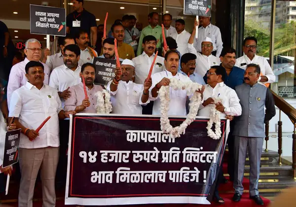 stock image MUMBAI INDIA FEBRUARY 28 2024 Opposition party Mahavikas Aghadi MVA MLAs including Shivsena UBT Congress party and NCP Sharadchandra Pawar faction today staged a protest at Vidhan Bhavan demanding a Rate for cotton per quintal 14 thousand and various