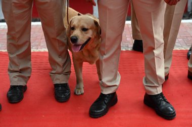 NAVI MUMBAI INDIA JANUARY 12. 2024 Uran 'dan Nerul' a giden trenlerde Başbakan Narendra Modi bayraklarıyla Bachchan Kumar HT PHOTO 