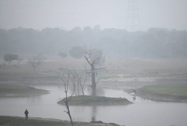 NEW DELHI INDIA JANUARY 12024 Akshardham yakınlarında soğuk ve sisli bir sabah Meteoroloji Bölümü Delhi NCT 'de önümüzdeki iki gün boyunca yoğun sisin görülebileceğini söyledi.