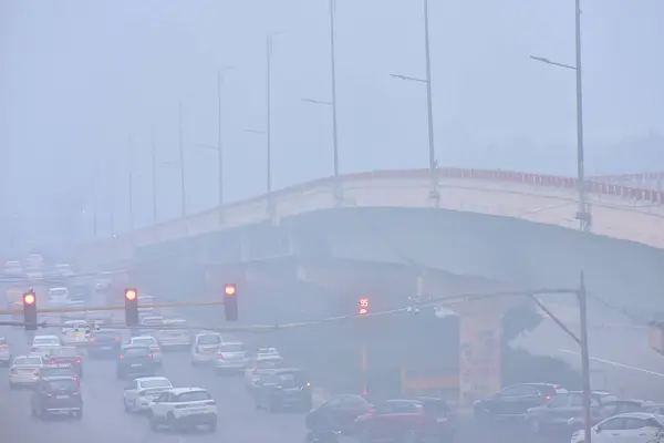 NEW DELHI INDIA JANUARY 15 HAZİRAN 15.2024 Soğuk ve sisli bir sabahta Sarai lahana khan üstgeçişi Indraprastha parkı yakınlarında yükselişte olan hava kirliliği seviyesinde sisli bir sabah Delhi NCR 'ye meydan okuyor.