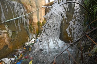 SRINAGAR INDIA JANUARY 6 2024 Icicles are seen on tree branches on January 6 2024 in Srinagar India Srinagar recorded its coldest night of the season clipart