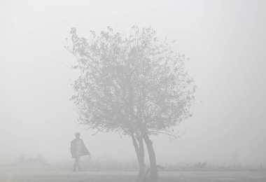 NOIDA INDIA JANUARY 14 HAZİRAN Soğuk ve sisli bir sabah sisli bir sabah Delhi NCR 'ye meydan okuyor Kuzey Hindistan' da giderek artan soğuk dalgalı civa dalgıçları Sunil Ghosh Hindustan Times 