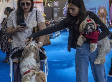 MUMBAI INDIA HAZİRAN 14 HAZİRAN 2024 PET Show 'da evcil hayvanlarıyla birlikte NSE Ulusal Sergi Merkezi' nin Hindistan 'daki en büyük hayvan gösterisi olan PetFed tarafından düzenlendi. 