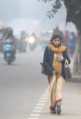 NOIDA INDIA HAZİRAN 24 HAZİRAN 24 2024 Soğuk ve sisli bir sabah fotoğrafı: Sunil Ghosh Hindustan Times 