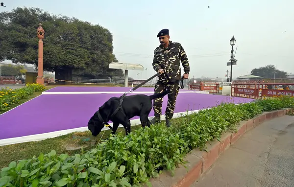 NEW DELHI INDIA JANUARY 24 2024 SSB personeli bir koklayıcı köpek ile güvenlik önlemleri Sanjeev Verma Hindustan Times 'ın Cumhuriyet Günü Fotoğrafı öncesinde sıkılaştırılırken 