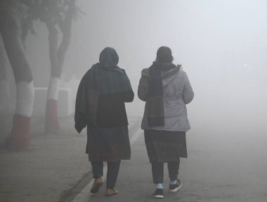 GREATER NOIDA İNDİYA 26 HAZİRAN 2024 Soğuk ve sisli bir günde 26 Ocak 2024 sabahı Büyük Noida Hindistan Fotoğrafı: Sunil Ghosh Hindustan Times 