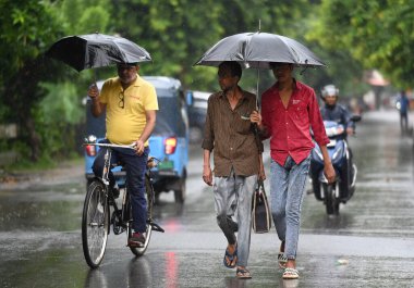 NOIDA INDIA 7 Eylül 2024, Noida Hindistan 'da 7 Eylül 2024' te 12. Sektör 'de bir sabah yağmurunda şemsiye altında kendilerini korudular. Yağmurlar ve Hindistan Meteoroloji Departmanı IMD' den etkilendi. 