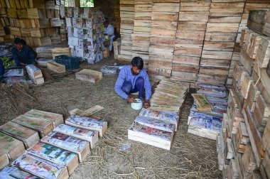 SRINAGAR INDIA 4 Temmuz 2023 Çiftçiler, Srinagar Hindistan 'ın dış mahallelerinde 4 Temmuz 2023 tarihinde bir meyve bahçesine ihraç etmek için erik paketliyor. Fotoğraf: Waseem Andrabi Hindustan Times