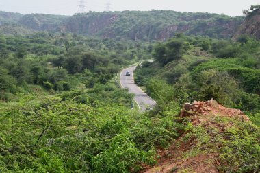 GURUGRAM INDIA JULY 5 2023 A view of Aravali Safari Park land in Garat Pur Bas villageon July 5 2023 in Gurugram India Safari Park project which is being developed in line with the biodiversity park concept in a 10 000 acre land parcel in the Aravall clipart