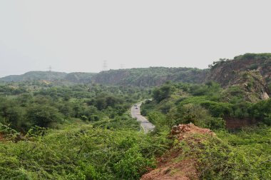 GURUGRAM INDIA JULY 5 2023 A view of Aravali Safari Park land in Garat Pur Bas villageon July 5 2023 in Gurugram India Safari Park project which is being developed in line with the biodiversity park concept in a 10 000 acre land parcel in the Aravall clipart