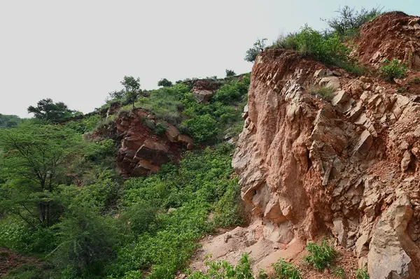 stock image GURUGRAM INDIA JULY 5 2023 A view of Aravali Safari Park land in Garat Pur Bas villageon July 5 2023 in Gurugram India Safari Park project which is being developed in line with the biodiversity park concept in a 10 000 acre land parcel in the Aravall