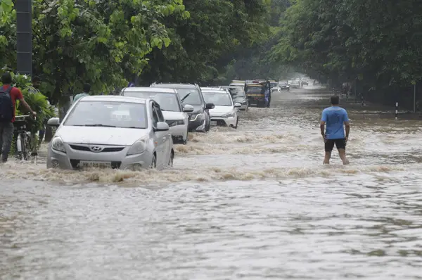 9 Temmuz 2023 'te Gurugram Hindistan' da Tau Devi Lal Stadyumu yakınlarındaki 38. bölgedeki muson yağmurları sırasında su altında kalan araçlar yoğun bir şekilde yürüdü. Delhi NCR, Frida 'nın müdahale ettiği gece şiddetli yağmurla ıslandı.