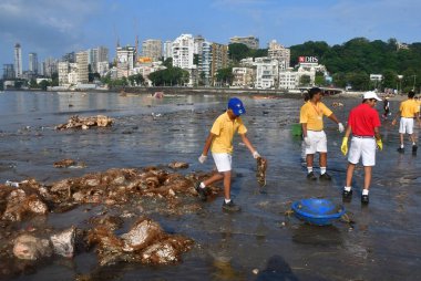 MUMBAI INDIA SEPTEMBER 19 2024 BMC staff and volunteers from different organisations during the Beach clean up drive a day after immersion of the idols of Lord Ganesha during Ganesh Chaturthi at Girgaon Chowpatty on September 19 2024 in Mumbai India. clipart