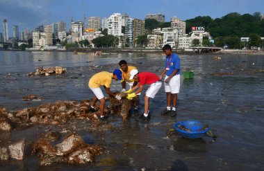 19 Eylül 2024 'te Hindistan' da Girgaon Chowpatty 'de Ganesh Chaturthi sırasında Ganesh Chaturthi putlarının batırılmasından bir gün sonra plaj temizliği sırasında farklı organizasyonlardan gönüllüler ve MUMBAI INDIA SEPTEMBER 19 2024.