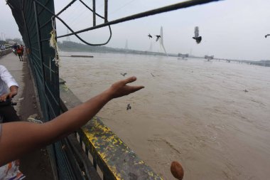 NEW DELHI INDIA 11 Temmuz 2023 Wazirabad yakınlarında Yamuna su seviyesi yüksekliği 11 Temmuz 2023 'te Yeni Delhi' de Hindistan Meteoroloji Bölümü IMDon Salı günü Delhi 'de Yamuna Nehri' nde turuncu alarm verdi. 