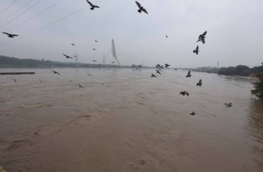 NEW DELHI INDIA 11 Temmuz 2023 Wazirabad yakınlarında Yamuna su seviyesi yüksekliği 11 Temmuz 2023 'te Yeni Delhi' de Hindistan Meteoroloji Bölümü IMDon Salı günü Delhi 'de Yamuna Nehri' nde turuncu alarm verdi. 