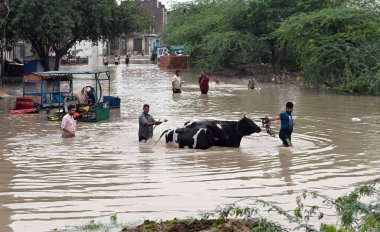 NEW DELHI INDIA 12 Temmuz 2023 Yamuna nehrinin su seviyesi Hathni Kund barajından 12 Temmuz 2023 'te Eski Garhi Mendu Köyü' nde sağanak yağış nedeniyle yükselen su seviyesi nedeniyle sel altındaki evlerden eşyalarını taşır.