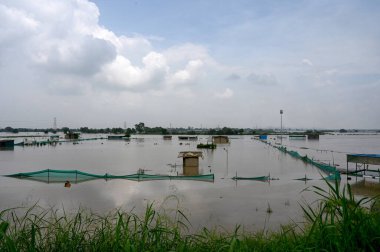 Yamuna 'nın su seviyesi Yamuna Nehirleri' nin su seviyesinden sonra Yamuna Nehri seviyesinin 168. Bölgesine giren NOIDA INDIA 12 Temmuz 2023 Suyu, Merkez Su Komisyonu 'na göre son birkaç gündür sürekli yağış nedeniyle tehlike işaretini aştı.