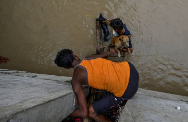 Yeni DELHI INDIA 13 Temmuz 2023 Yerel halk, 13 Temmuz 2023 'te Yeni Delhi' de Raj K Raj Hindustan Times 'ın çektiği fotoğraf ile Mayur Vihar Tarafı yakınlarındaki şiddetli muson yağmurlarının ardından Yamuna nehri taşınca bir köpeği daha güvenli bir yere taşıdı.