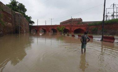 NEW DELHI INDIA 14 HAZİRAN 2023 Yamuna Bazar Suyu manzarası 14 Temmuz 2023 tarihinde Yeni Delhi Hindistan 'da Sonu Mehta Hindustan Times tarafından çekilmiştir.