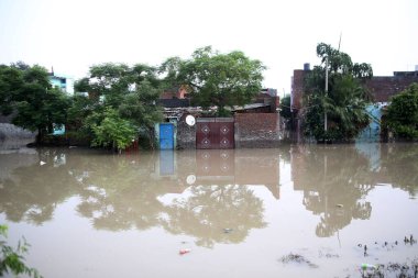 NEW DELHI INDIA 15 Temmuz 2023 Badarpur 'un Jaitpur uzantısında, Yamuna sel yatağı yakınlarındaki sel suları, Yeni Delhi' de 15 Temmuz 2023 tarihinde Delhi yoluna girdi.