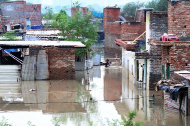 NEW DELHI INDIA 15 Temmuz 2023 Badarpur 'un Jaitpur uzantısında, Yamuna sel yatağı yakınlarındaki sel suları, Yeni Delhi' de 15 Temmuz 2023 tarihinde Delhi yoluna girdi.